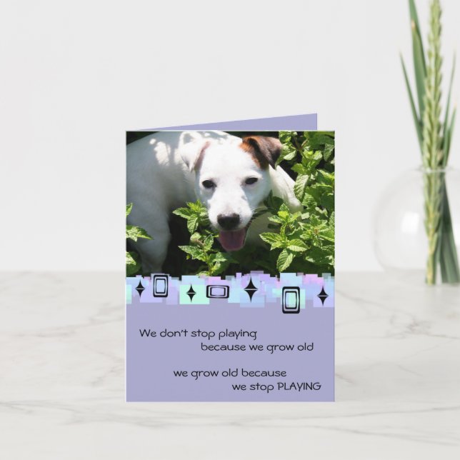 Jack Russell Birthday Greetings Card (Front)