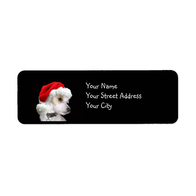 Jack Russell Christmas Return Address Label (Front)