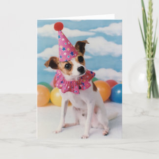 Jack Russell Dog Birthday Card