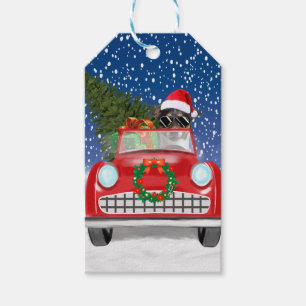 Jack Russell Dog Driving Car In Snow Christmas Gift Tags