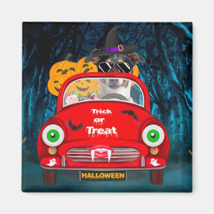 Jack Russell Dog Driving Car Scary Halloween Magnet