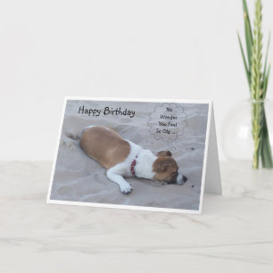 Jack Russell Dog Humourous Birthday Card