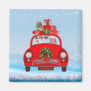 Jack Russell Dog In Car With Santa Claus Magnet