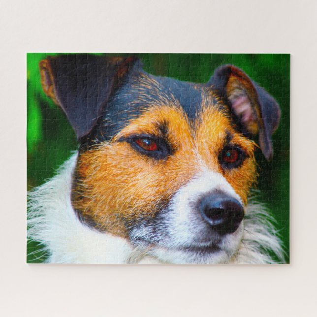 Jack Russell Dog. Jigsaw Puzzle (Horizontal)