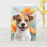 Jack Russell Dog Orange Poppy Flowers Get Well