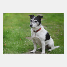 Jack Russell Door Mat – Playful Pup 