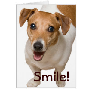 Jack Russell Greeting Card