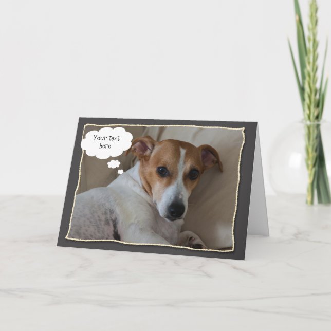 Jack Russell Greeting Card (Front)