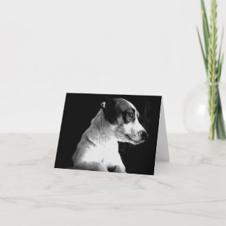 Jack Russell in thought Card
