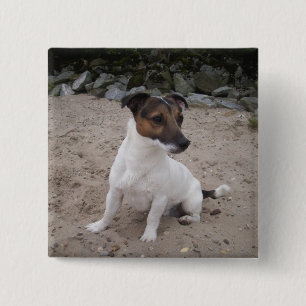 Jack Russell klein Hund 15 Cm Square Badge