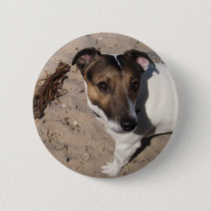Jack Russell klein Hund 6 Cm Round Badge