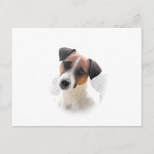 Jack Russell Postcard
