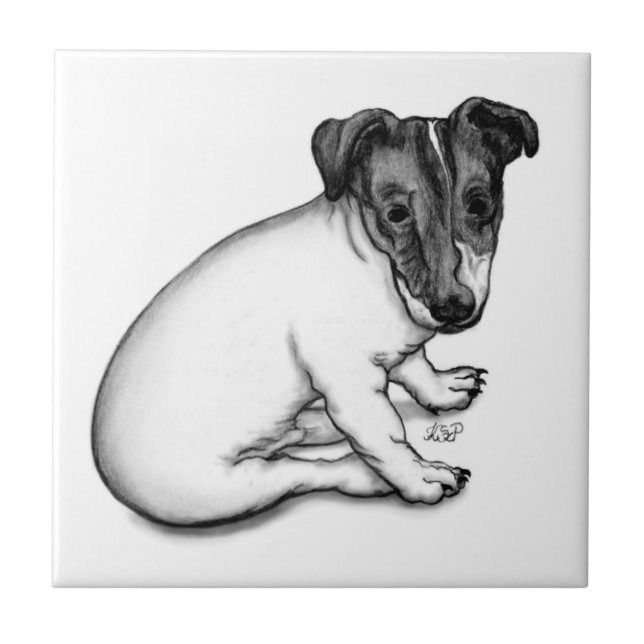Jack Russell puppy 10 weeks old Ceramic Tile (Front)