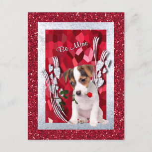 Jack Russell Puppy Be Mine Valentine Postcard
