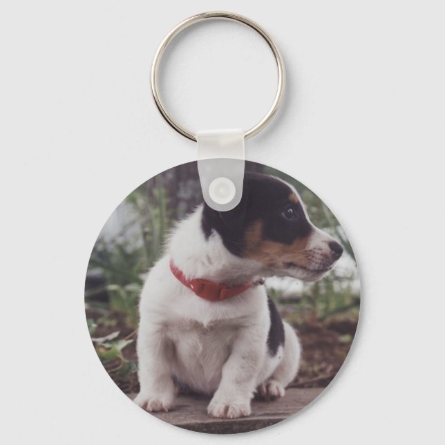 Jack Russell puppy Key Ring (Front)