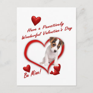 Jack Russell Puppy Love In An Envelope Postcard
