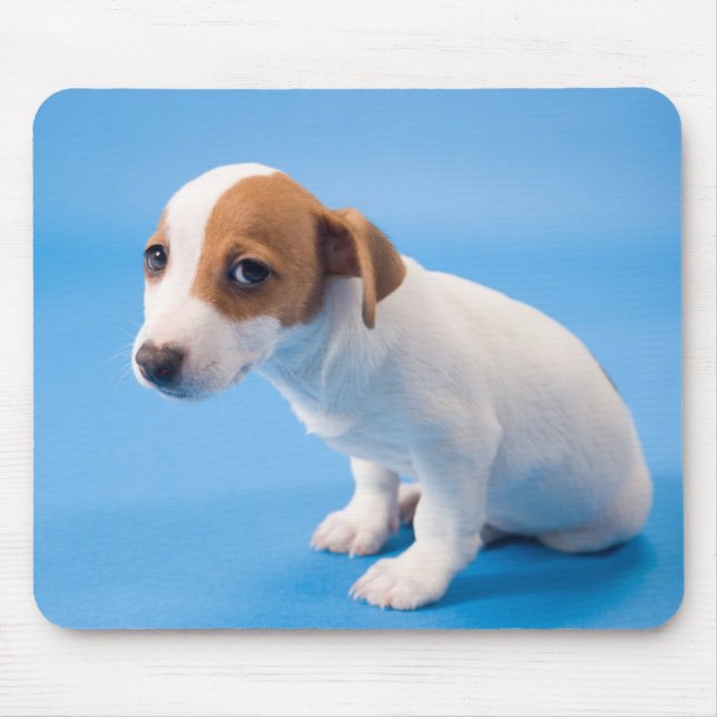 Jack Russell Puppy Mouse Pad (Front)