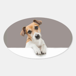 Jack Russell Puppy Sweet Adorable Baby Jack Oval Sticker
