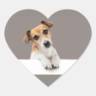 Jack Russell Puppy Sweet Adorable Cute Heart Sticker