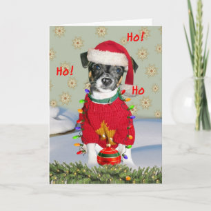 Jack Russell Rat Terrier Mix Merry Christmas Holiday Card