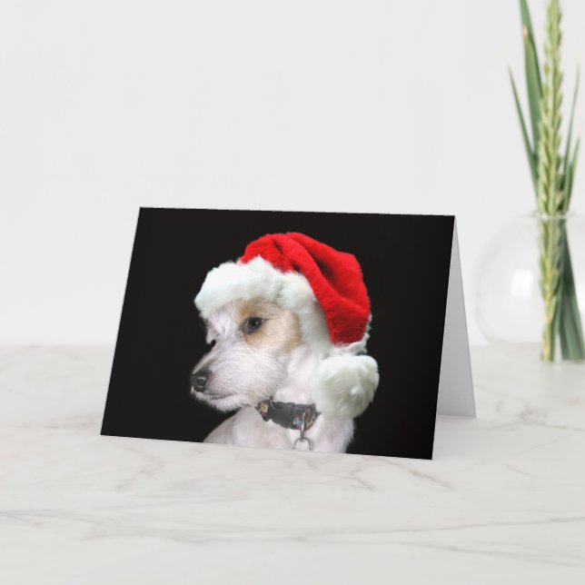 Jack Russell Santa Holiday Card (Front)