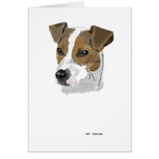 Jack Russell Terrier