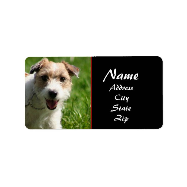 Jack Russell terrier address label (Front)