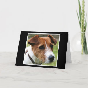 Jack Russell Terrier Card