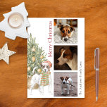Jack Russell Terrier Christmas Tree Pet Dog Photo Holiday Card<br><div class="desc">This beautiful Jack Russell terrier themed Christmas card features a Jack Russell wearing a Santa hat sitting in front of a lit Christmas tree. The greeting on the card reads "Merry Christmas" and can be personalised. Further personalise this holiday card with three photos of your pet dog, a signature and...</div>