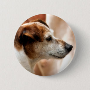 JACK RUSSELL TERRIER DOG 6 CM ROUND BADGE