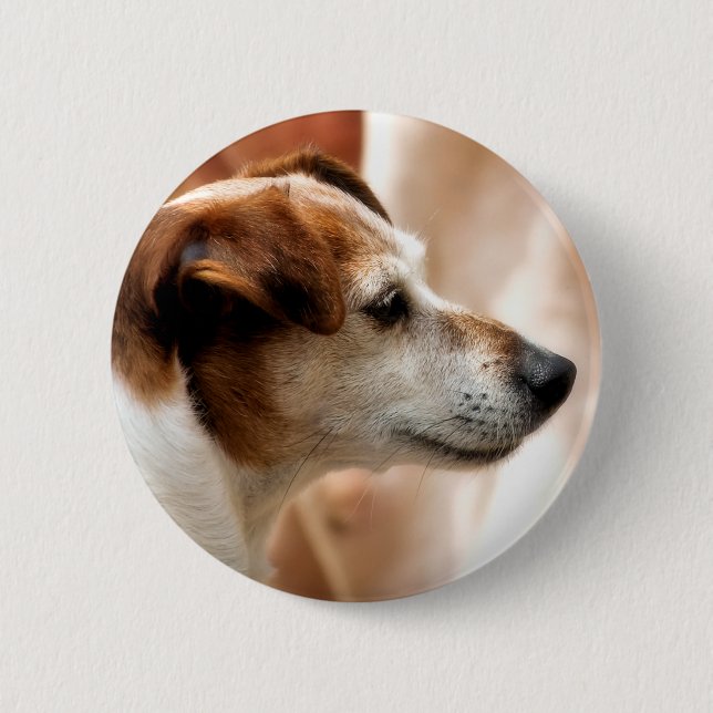 JACK RUSSELL TERRIER DOG 6 CM ROUND BADGE (Front)