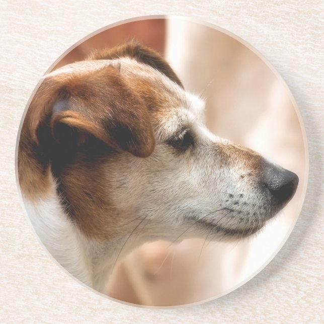 JACK RUSSELL TERRIER DOG COASTER (Front)