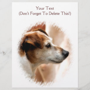 JACK RUSSELL TERRIER DOG FLYER