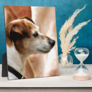 JACK RUSSELL TERRIER DOG PLAQUE