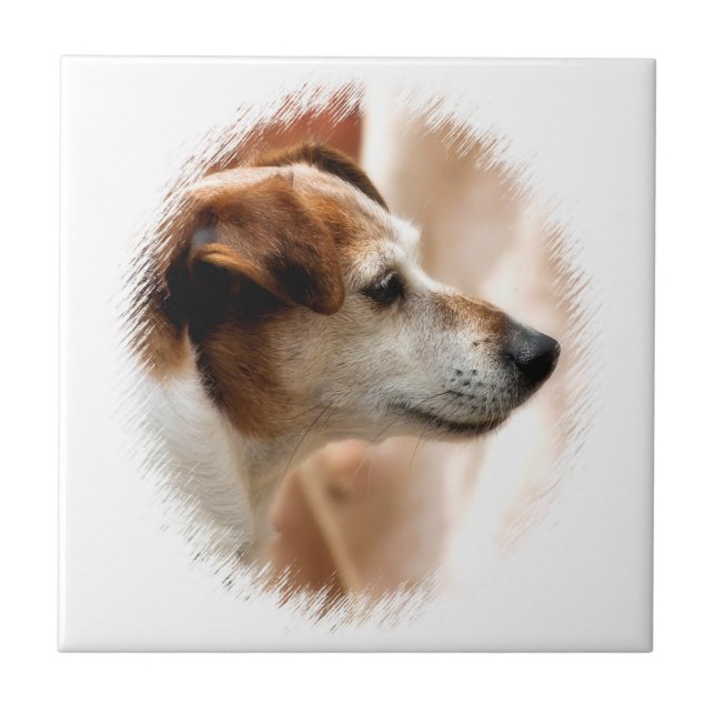 JACK RUSSELL TERRIER DOG TILE (Front)
