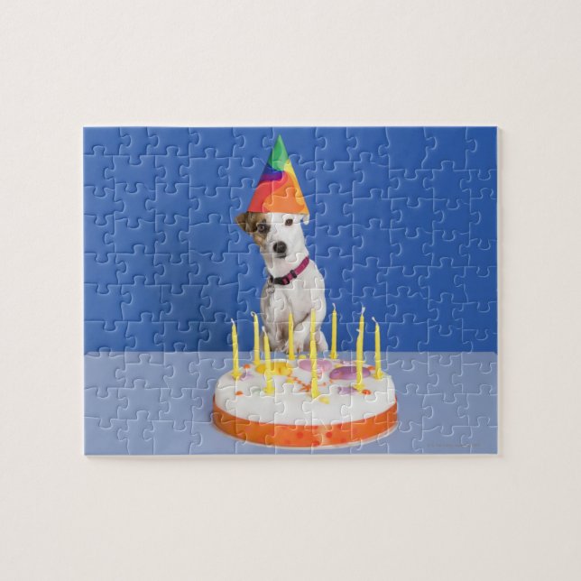 Jack Russell Terrier dog wearing party hat Jigsaw Puzzle (Horizontal)