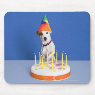 Jack Russell Terrier dog wearing party hat Mouse Pad