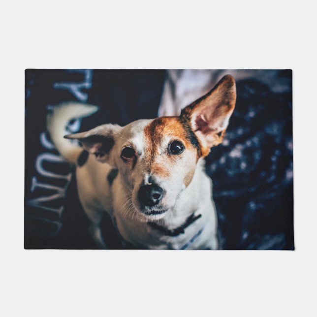 Jack Russell Terrier Doormat (Front)