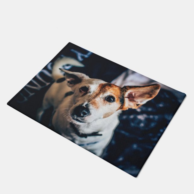 Jack Russell Terrier Doormat (Angled)