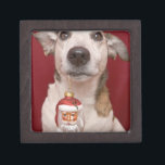 Jack Russell Terrier Holding Christmas Ornament Keepsake Box<br><div class="desc">ImageID: 42-19193497 / Ursula Klawitter / Corbis / Jack Russell Terrier Holding Christmas Ornament /</div>