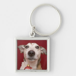 Jack Russell Terrier Holding Christmas Ornament Key Ring