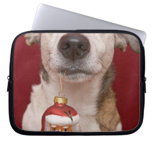 Jack Russell Terrier Holding Christmas Ornament Laptop Sleeve