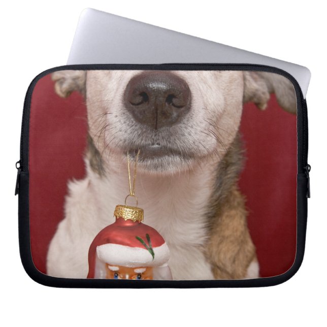 Jack Russell Terrier Holding Christmas Ornament Laptop Sleeve (Front)