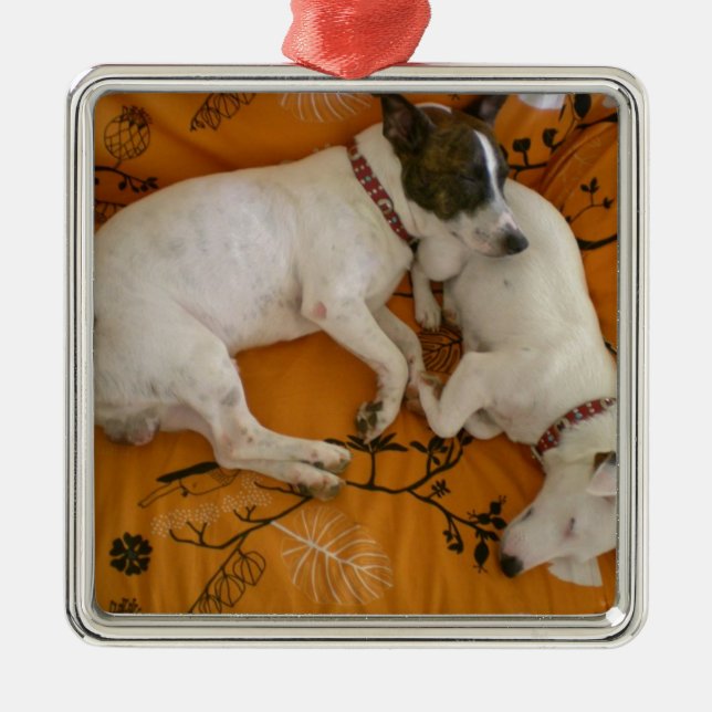 Jack Russell Terrier Metal Tree Decoration (Front)