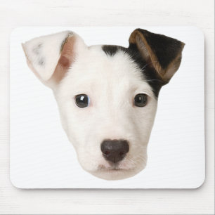 Jack Russell Terrier Mouse Pad