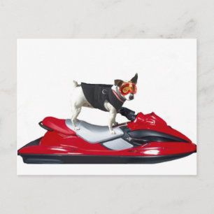 Jack Russell Terrier on Jetski postcard