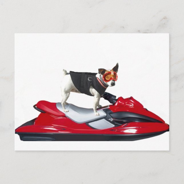 Jack Russell Terrier on Jetski postcard (Front)