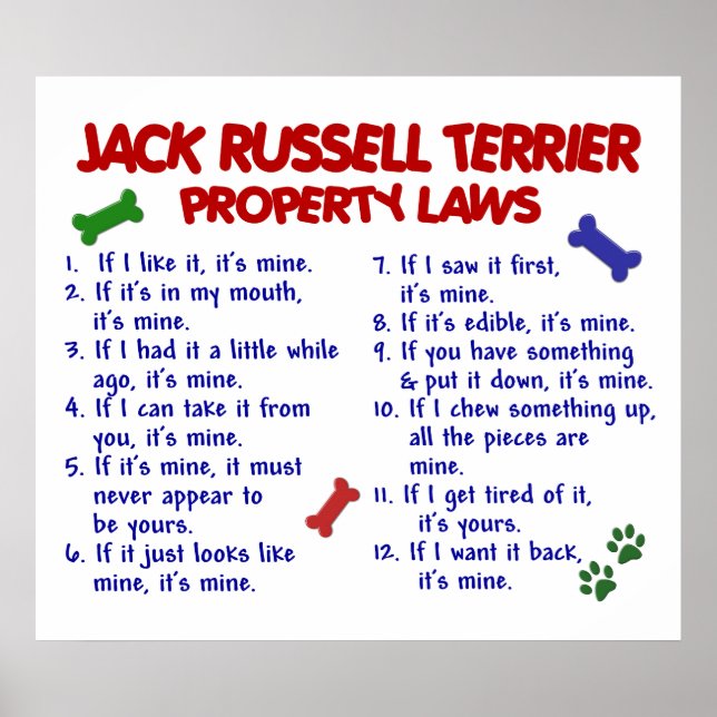 JACK RUSSELL TERRIER PL2 POSTER (Front)