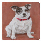 Jack Russell Terrier Portrait Big Card