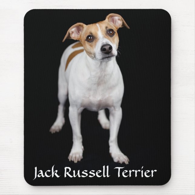 Jack Russell Terrier Portrait Mousepad (Front)